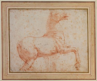Studie van een van de Quirinal Marmeren Paarden, c.1515-17 door Raphael