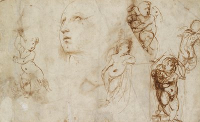 Diverse studies, voornamelijk voor de Borghese-Beckford St. Catherine, begin 16e eeuw door Raphael