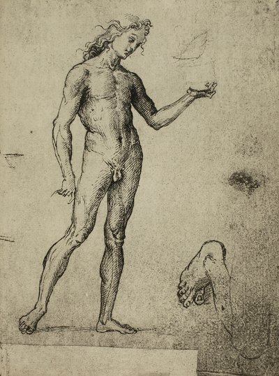 Mannelijk naaktstudie; tekening door Raphael door Raffaello Sanzio Raphael