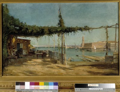 De ingang van de haven gezien vanaf de Cove du Pharo in Marseille door Raphael Luc Ponson
