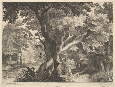 Bosrijk landschap door Raphael Sadeler