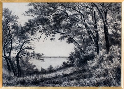  door Raymond Bonnefon