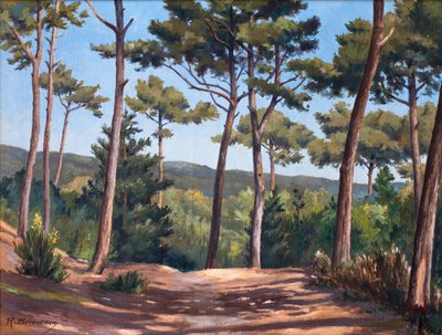  door Raymond Bonnefon