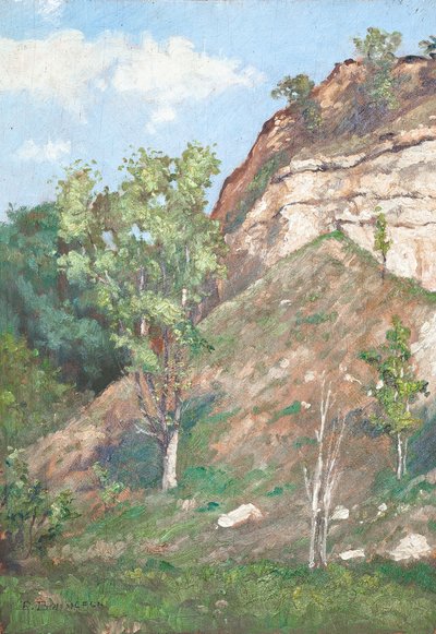  door Raymond Bonnefon