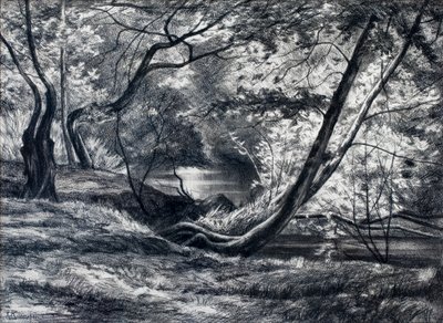  door Raymond Bonnefon