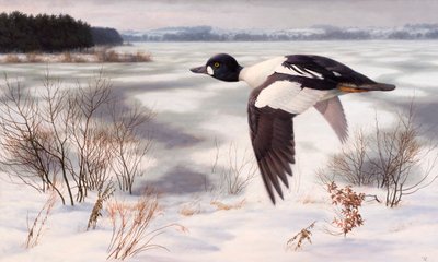 Gulden in een winterlandschap door Raymond Booth