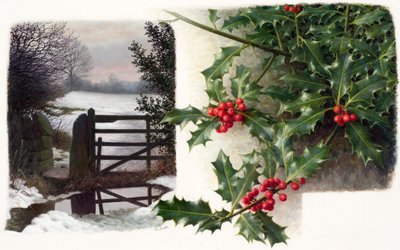 Midwinterdooi met hulst (31) (olieverf op papier) door Raymond Booth