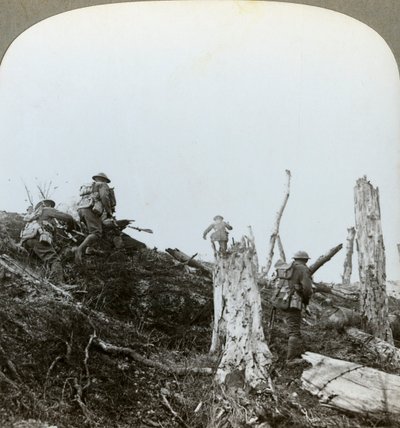 Aanval in Trones Bos, Somme, Frankrijk, Eerste Wereldoorlog, 1916 door Realistic Travels Publishers