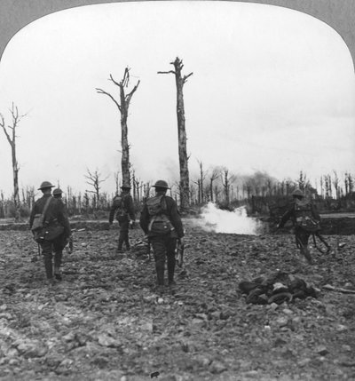 Britse troepen bezetten Houthulstbos, Vlaanderen, België, Eerste Wereldoorlog, ca. 1914-1918 door Realistic Travels Publishers