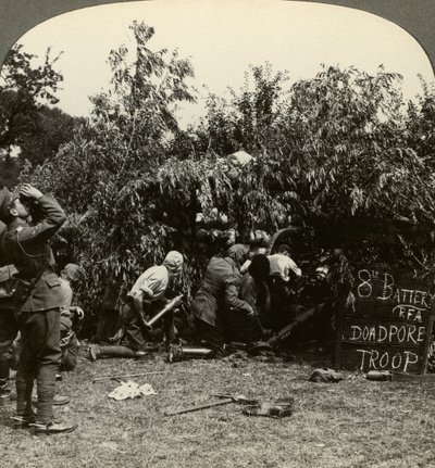 Kanonniers met gasmaskers, Eerste Wereldoorlog, 1914-1918 door Realistic Travels Publishers