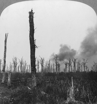 Hoog explosieve granaten die ontploffen in Mametz Wood, Frankrijk, Eerste Wereldoorlog, 1916 door Realistic Travels Publishers