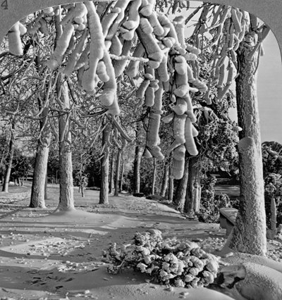 Winterscène, Goat Island, Niagara Falls, New York, VS door Realistic Travels Publishers