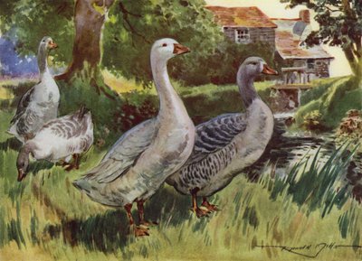 Illustratie voor Mijn Boerderij door Reginald Mills