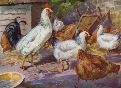 Illustratie voor Mijn Boerderij door Reginald Mills