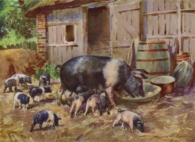 Illustratie voor Mijn Boerderij (kleur litho) door Reginald Mills