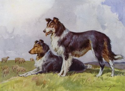 Illustratie voor Mijn Boerderij (kleur litho) door Reginald Mills