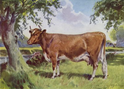 Illustratie voor Mijn Boerderij (kleur litho) door Reginald Mills