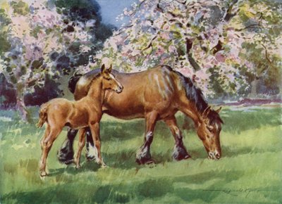 Illustratie voor Mijn Boerderij door Reginald Mills