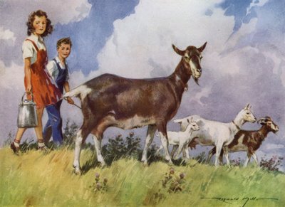 Illustratie voor Mijn Boerderij door Reginald Mills