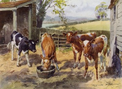 Illustratie voor Mijn Boerderij door Reginald Mills