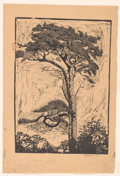 Pijnboom door Reijer Stolk (signed by artist)