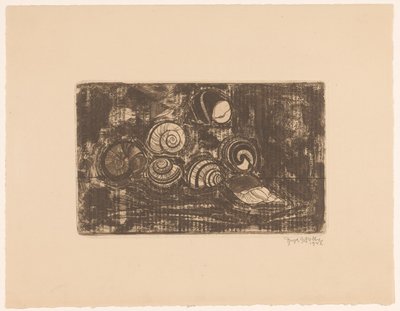 Zeven schelpen door Reijer Stolk (signed by artist)