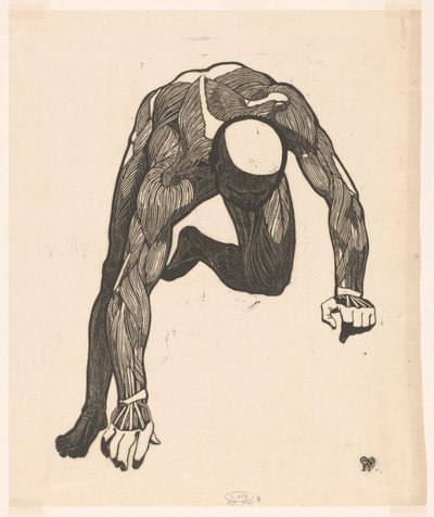 Anatomische studie van de hals-, arm- en beenspieren van een man door Reijer Stolk