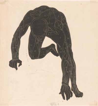 Anatomische studie van de hals-, arm- en beenspieren van een man in silhouet door Reijer Stolk