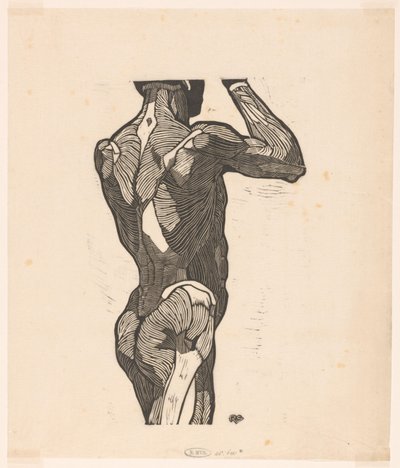 Anatomische studie van de rug- en bilspieren van een man door Reijer Stolk