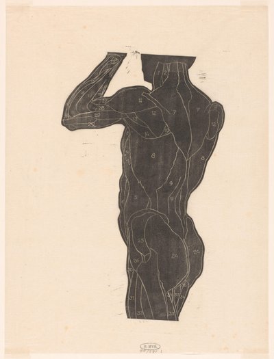 Anatomische studie van de rug- en bilspieren van een man in silhouet door Reijer Stolk