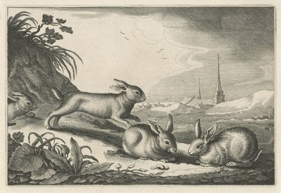 Duinlandschap met konijnen door Reinier van Persijn