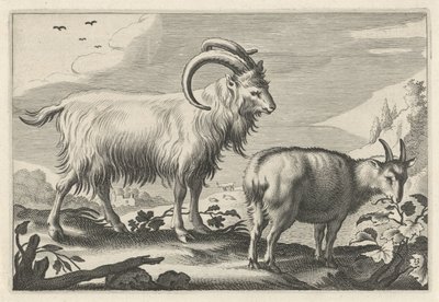 Heuvelachtig landschap met twee geiten door Reinier van Persijn