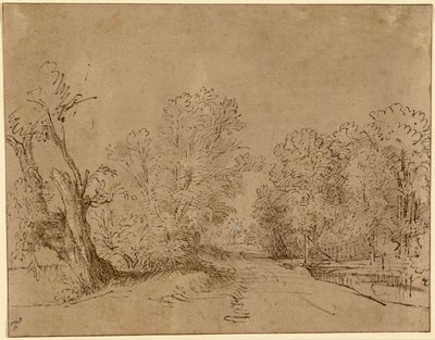 Een bosrijke weg door Rembrandt Harmensz. van Rijn