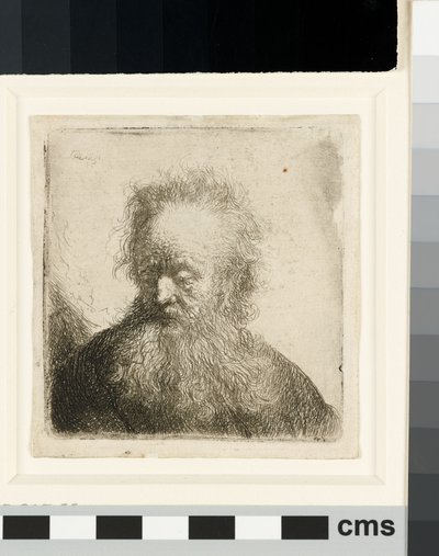 Oude Man met een Stromende Baard: buste door Rembrandt van Rijn