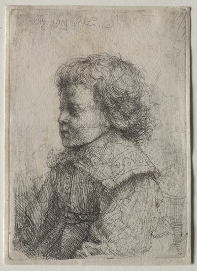 Portret van een jongen in profiel door Rembrandt Harmensz. van Rijn