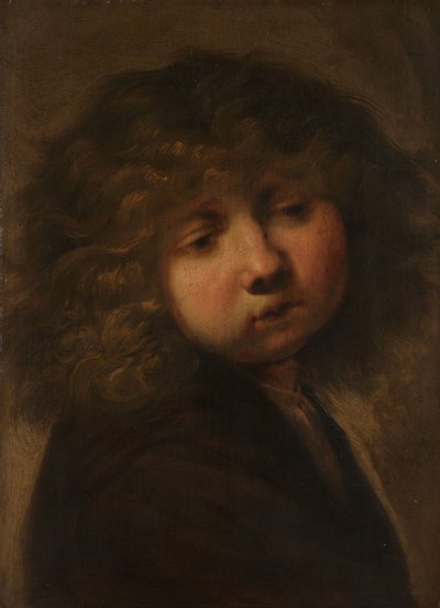 Hoofd van een Jongen door Rembrandt van Rijn (circle of)