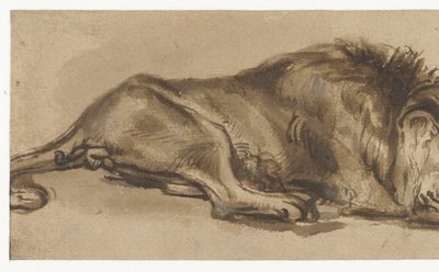 Studie van een slapende leeuw door Rembrandt van Rijn (copy after)
