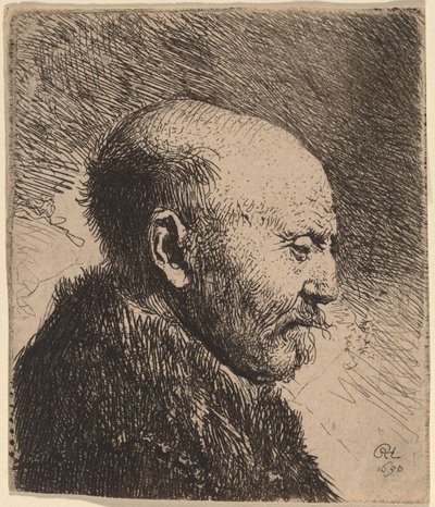 Een Kale Man in Profiel (De Vader van de Kunstenaar?) door Rembrandt van Rijn