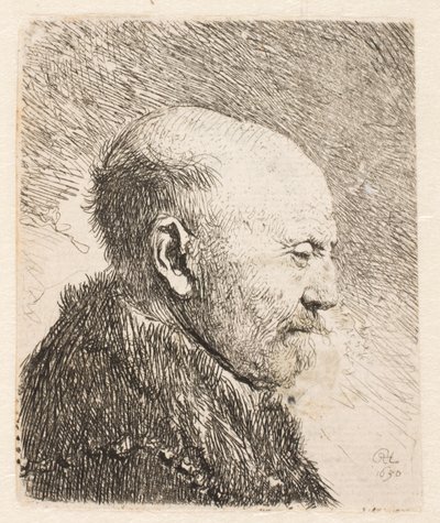 Kale man in profiel (Rembrandts vader?) door Rembrandt van Rijn