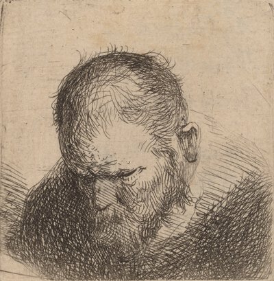 Bearded Man Looking Down, mogelijk 1631 door Rembrandt van Rijn