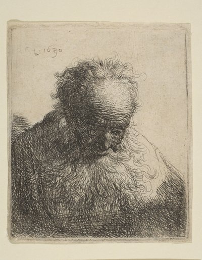 Buste van een oude man met een vloeiende baard: het hoofd naar voren gebogen: linkerschouder onbeschaduwd door Rembrandt van Rijn