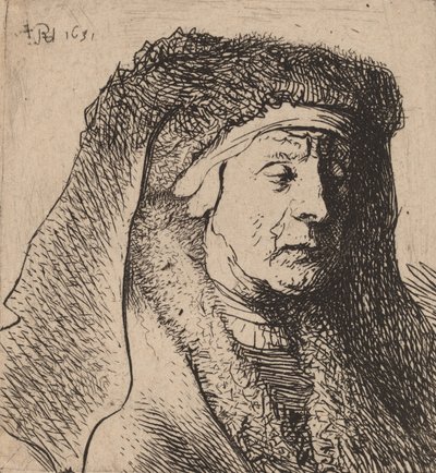 Buste van een oude vrouw in een bontjas en zware hoofdbedekking door Rembrandt van Rijn