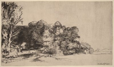 Een groepje bomen met een mooi uitzicht door Rembrandt van Rijn