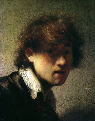 Hoofd van een jonge man of zelfportret, 1629 door Rembrandt van Rijn