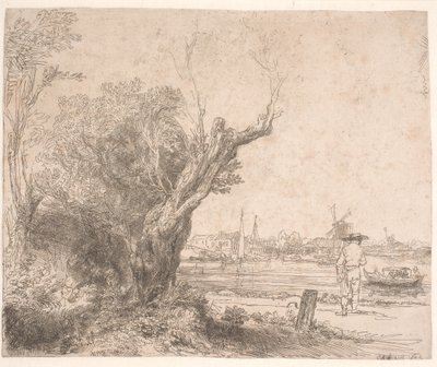 Landschap. 