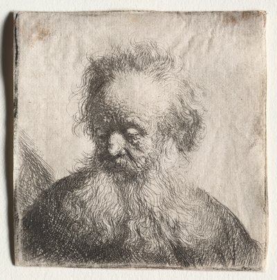 Oude Man met een Stromende Baard: Buste door Rembrandt van Rijn