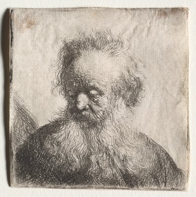 Oude man met een vloeiende baard: Buste, 1631 door Rembrandt van Rijn