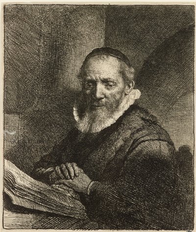 Portret van Jan Cornelis Sylvius, predikant (1633) door Rembrandt van Rijn