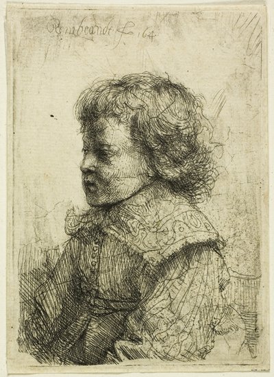 Portret van een jongen door Rembrandt van Rijn
