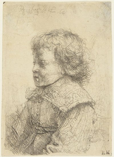 Portret van een jongen door Rembrandt van Rijn